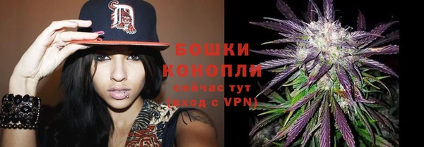 герыч Пестово