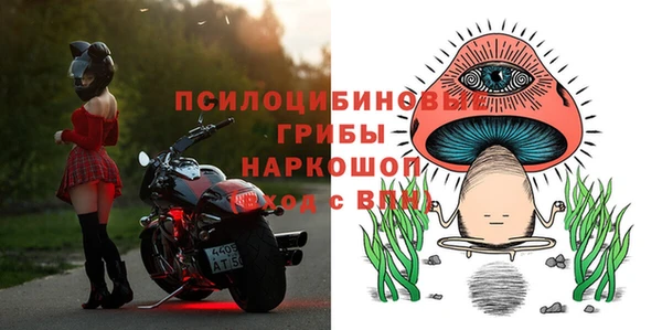 крисы Пересвет