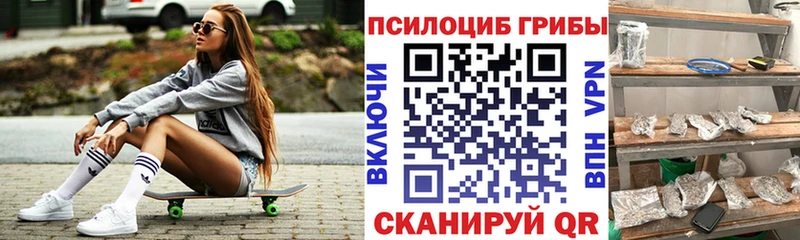Галлюциногенные грибы мухоморы где найти наркотики Ржев